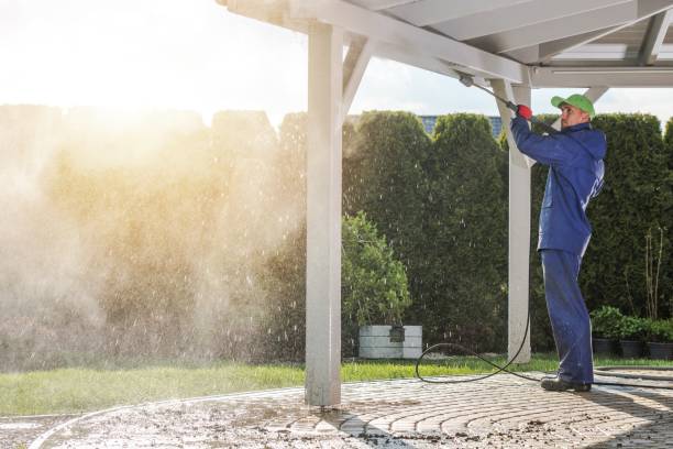 Best Roof Washing  in Hollidaysburg, PA
