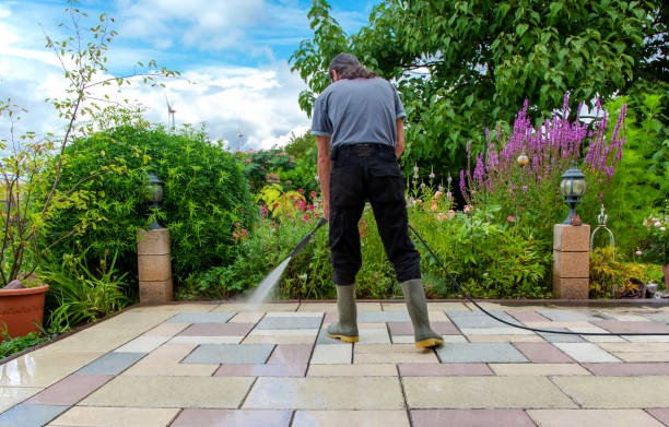 Best Driveway Pressure Washing  in Hollidaysburg, PA